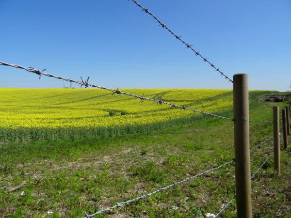 Barbed Wire Fence Installation