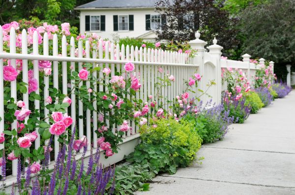 Fence Service - Fence Service Rock Hill, South Carolina