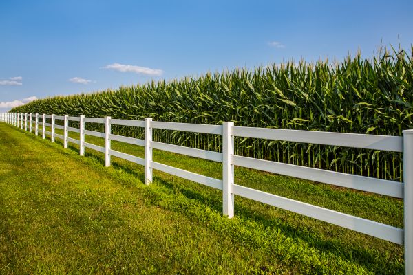 Fence Installation