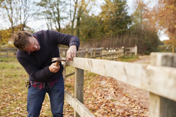 Fence Post Replacement