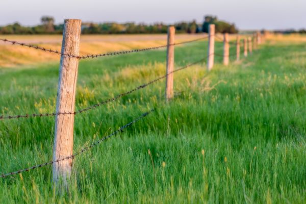 Field Fence Installation - Field Fence Installation Morris County, New Jersey