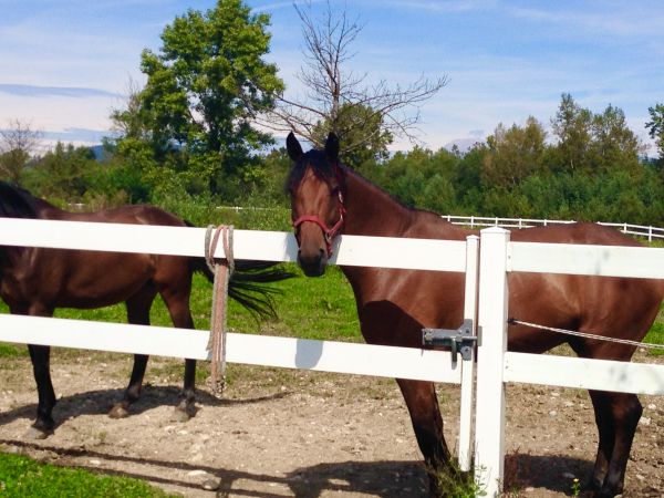 Composite Fence Construction