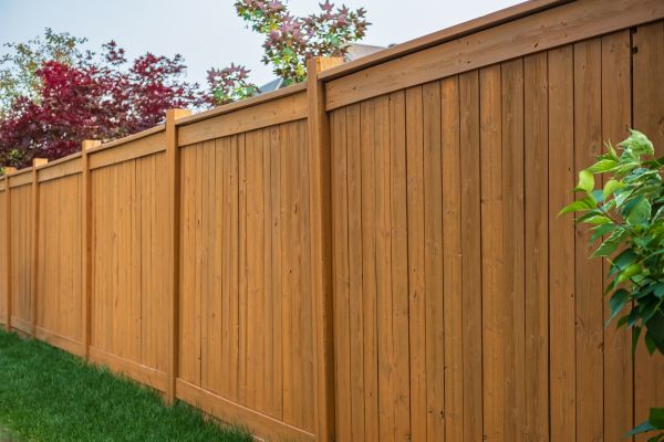 Fence Reconstruction