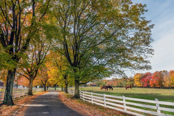 Equestrian Fence Installation - Equestrian Fence Installation Westchester County, New York