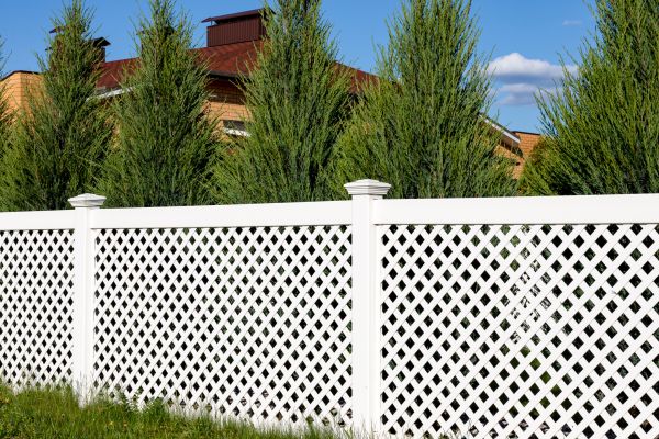 Vinyl Fence Panel Renovation