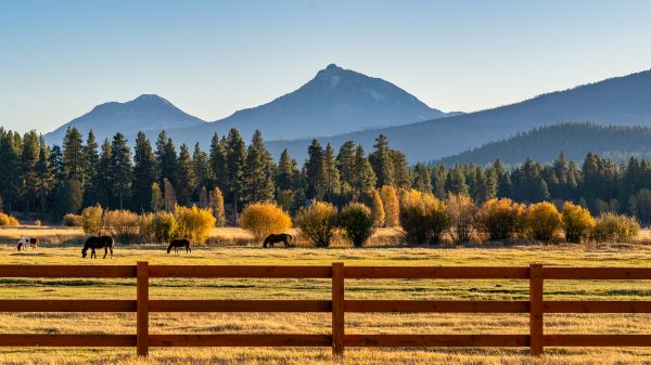 Ranch Fencing Installation
