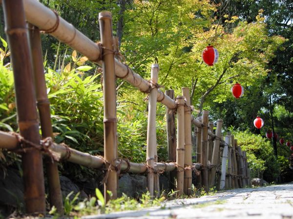 Backyard Fence Installation