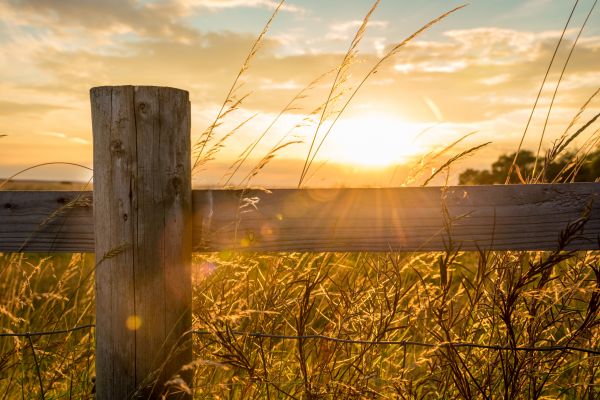 Fence Post Installation