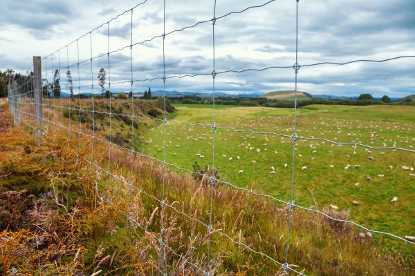 Pig Fencing Installation - Pig Fencing Installation Suffolk County, New York