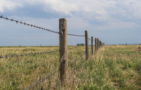 Barbed Wire Repair
