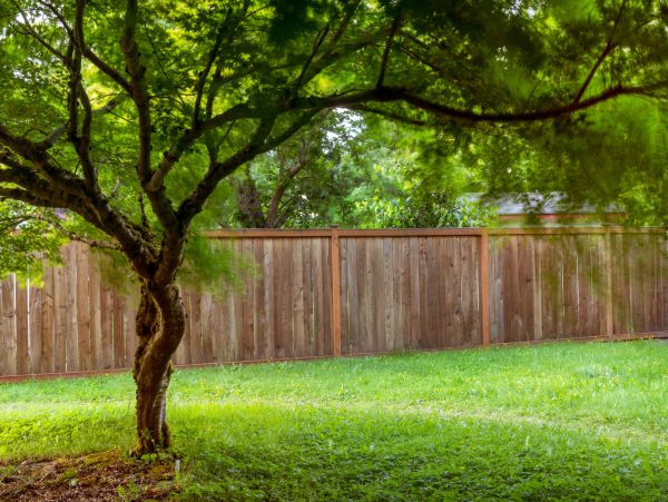 Backyard Fence Repair