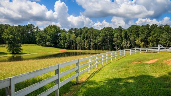 Field Fencing Installation
