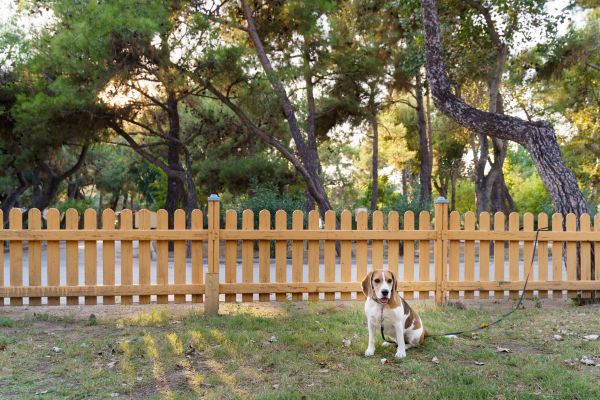 Pet Fence Maintenance - Pet Fence Maintenance Bloomington, Indiana