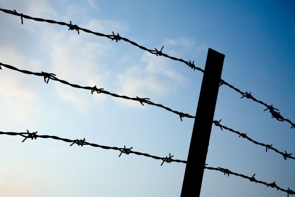 Barbed Wire Fence Assembly