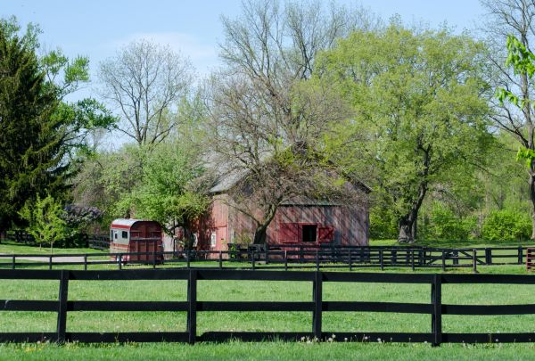 Horse Paddock Repair - Horse Paddock Repair Williamson County, Tennessee