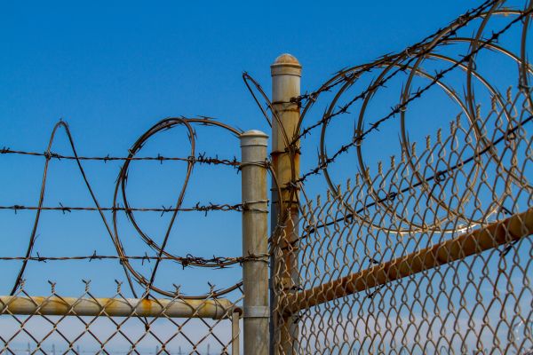 Barbed Wire Fence Building