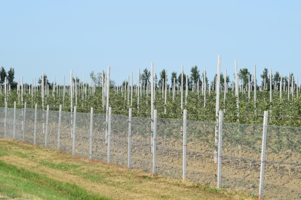 Orchard Fence Building - Orchard Fence Building Madison, Wisconsin