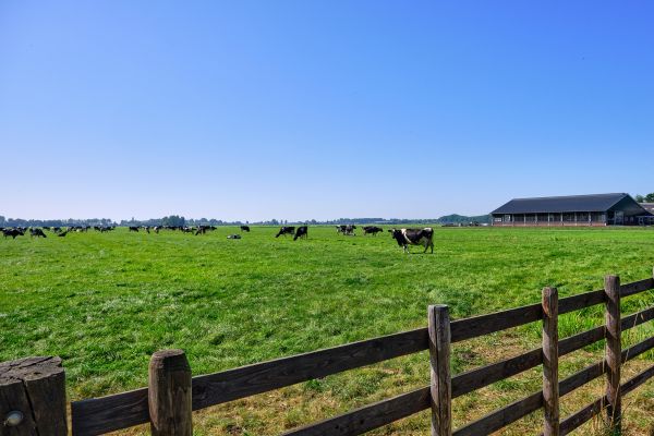 Livestock Fence Construction - Livestock Fence Construction Tulsa, Oklahoma