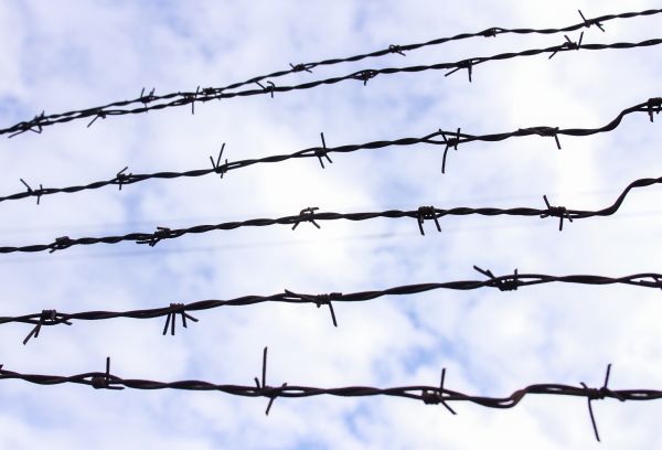 Barb Wire Fencing Repair, Barb Wire Fencing Repair, Texas