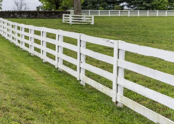 Equestrian Fence Installation