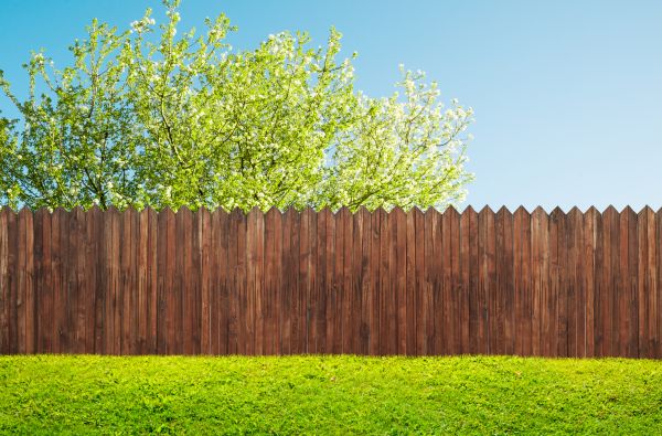 Bamboo Fence Installation