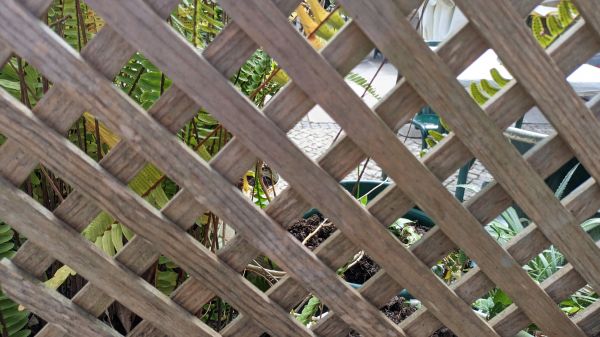 Yard Lattice Installation