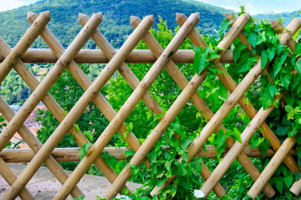 Decorative Trellis Install