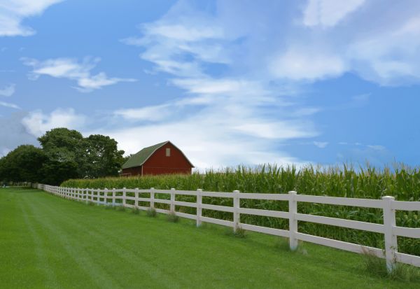 Rail Fence Construction