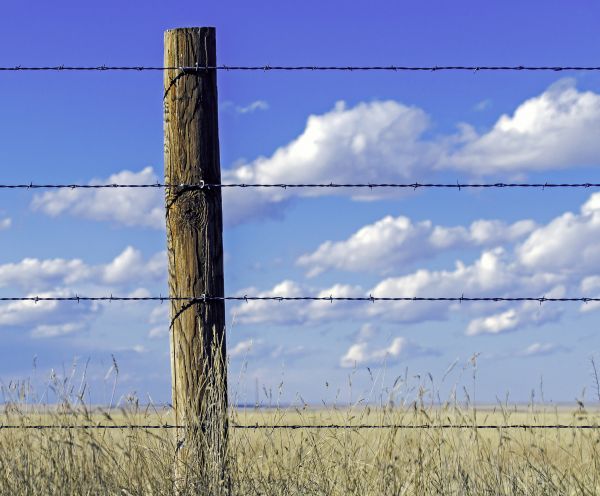 Wire Fence Placement