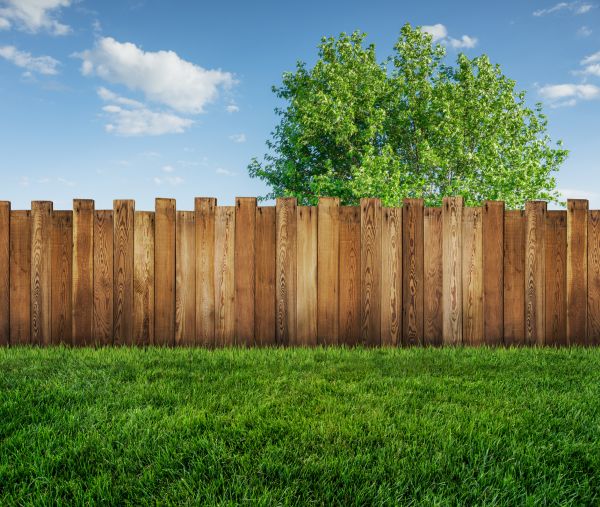 Backyard Fence Renovation