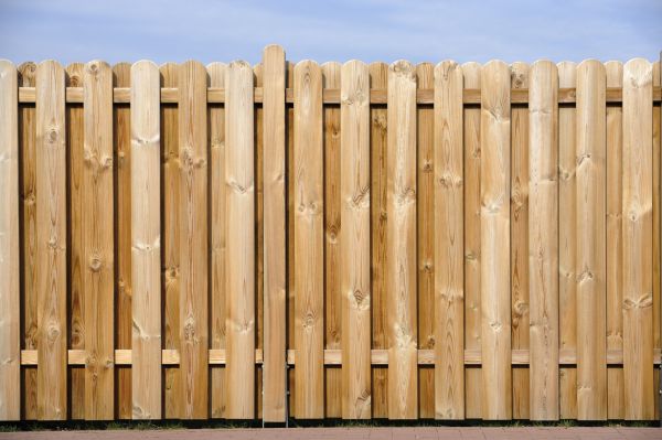 Backyard Wood Fence Service