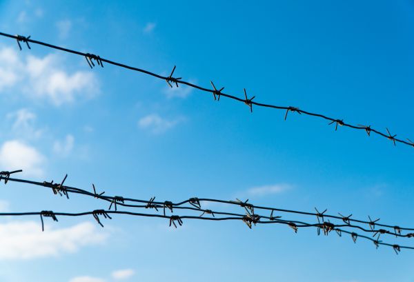 Wire Fencing Service - Wire Fencing Service Corpus Christi, Texas