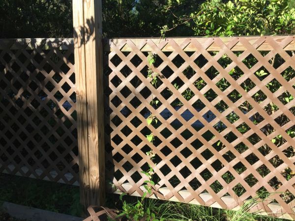 Privacy Lattice Construction - Privacy Lattice Construction Metairie, Louisiana