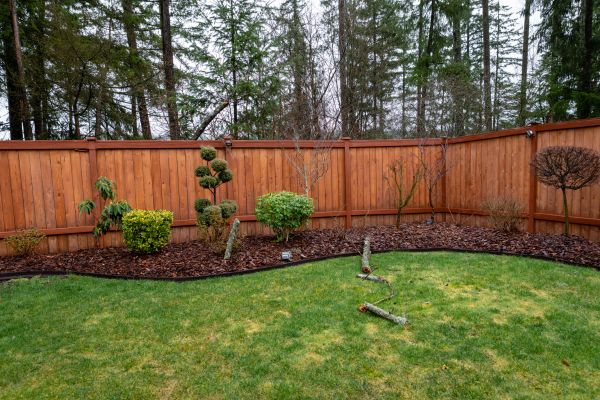Backyard Fence Construction