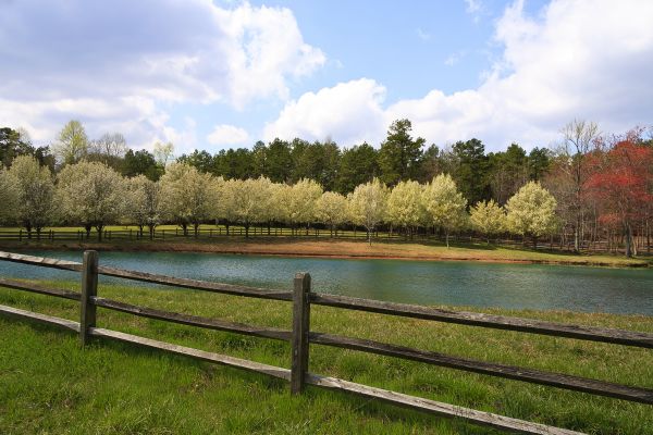 Pond Perimeter Fencing