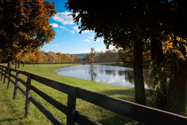 Pond Fencing