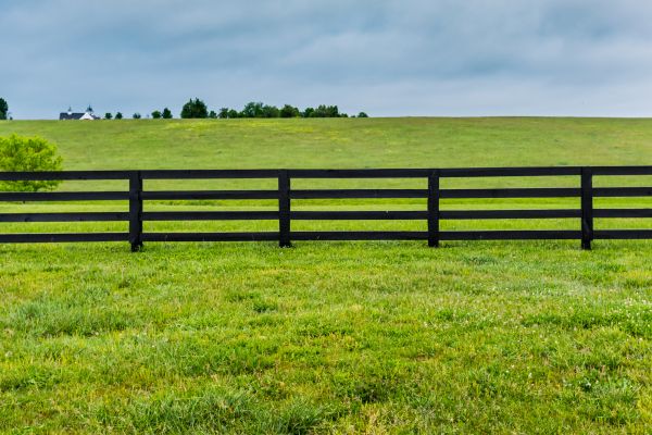 Barbed Wire Fence Installation