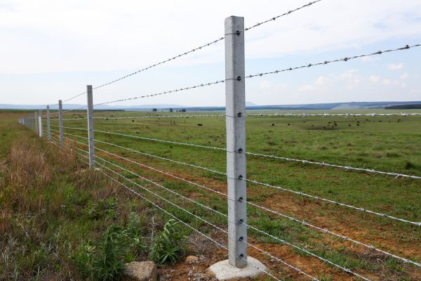 Cattle Fence Construction - Cattle Fence Construction Greenwood, Indiana