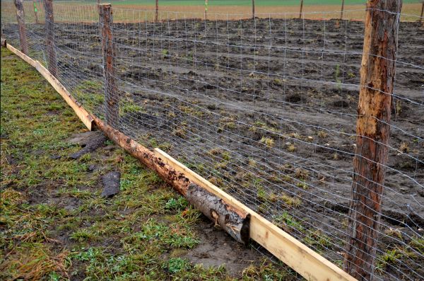 Deer Fencing Repair - Deer Fencing Repair Shelton, Washington