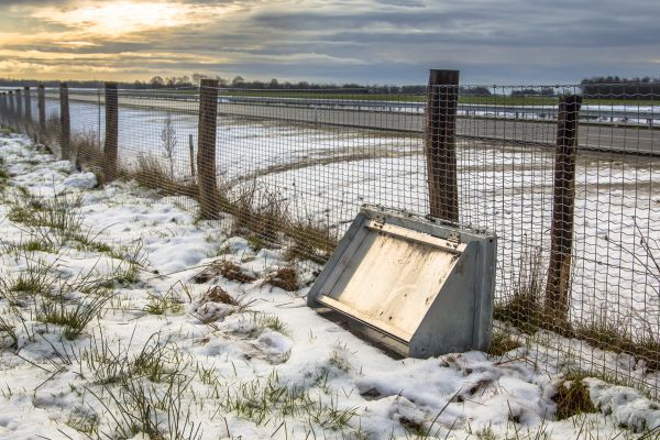 Wildlife Fence Repair