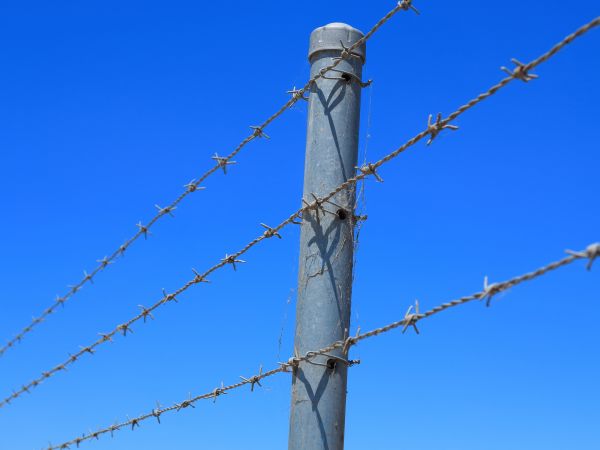 Barbed Wire Fence Service - Barbed Wire Fence Service Fernley, Nevada