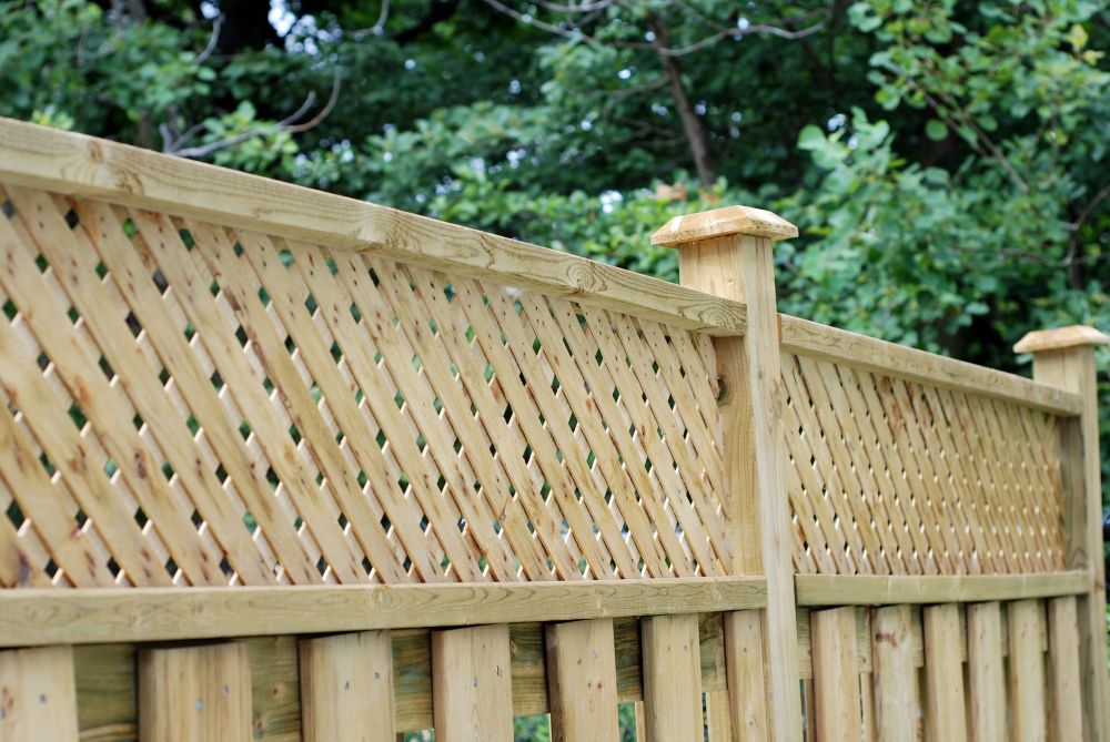 Fence Board Replacement